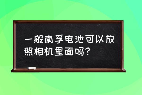 南孚充电电池能用数码相机吗 一般南孚电池可以放照相机里面吗？