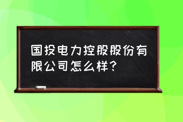 国投电力长期负债什么时候还清 国投电力控股股份有限公司怎么样？