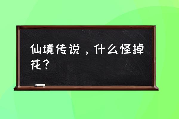 仙境传说大厅四傻掉什么 仙境传说，什么怪掉花？