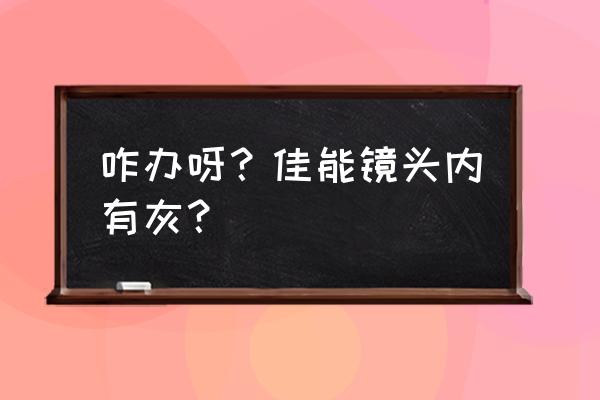 佳能镜头不到半年进灰正常吗 咋办呀？佳能镜头内有灰？