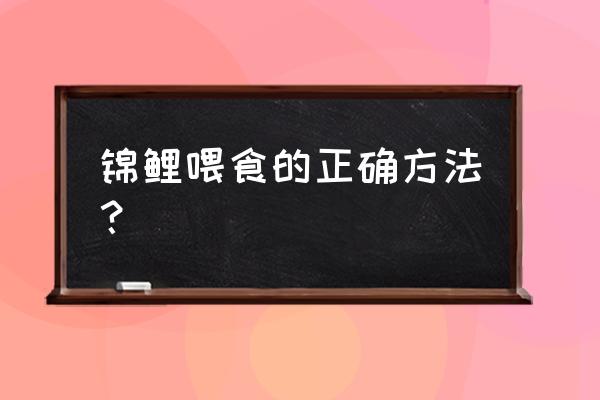 黄金龙凤锦鲤如何喂食 锦鲤喂食的正确方法？