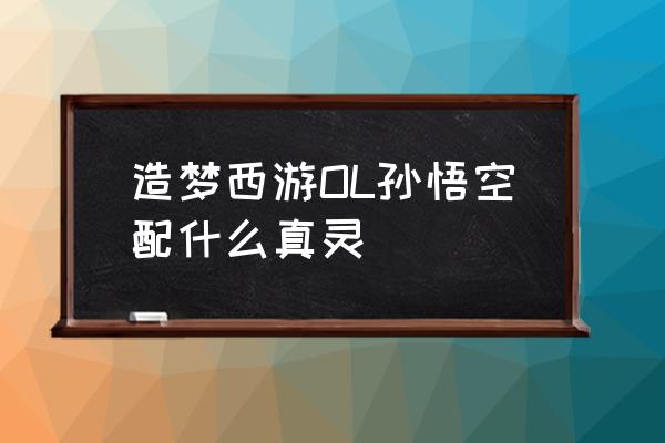 造梦西游孙悟空用什么配装 造梦西游OL孙悟空配什么真灵