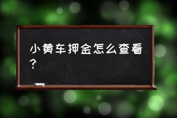 如何查询小黄车退回的押金 小黄车押金怎么查看？