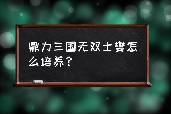 鼎力三国武魂等级怎么提升 鼎力三国无双士燮怎么培养？