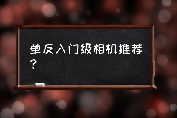 哪些入门级单反相机配置高 单反入门级相机推荐？