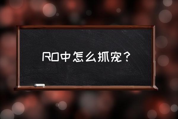 仙境传说几级开始有宠物探险 RO中怎么抓宠？