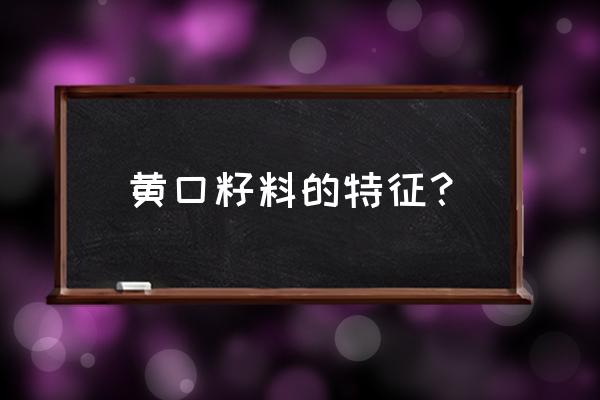 软玉哪种料最好 黄口籽料的特征？