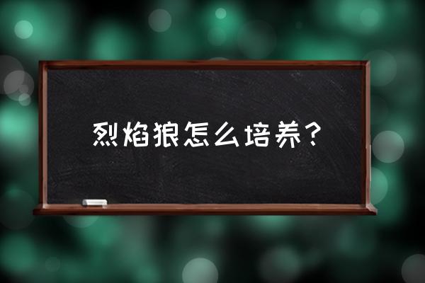 烈火战神怎么刷火焰玻璃 烈焰狼怎么培养？