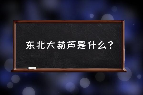 天然大葫芦摆件怎么制作 东北大葫芦是什么？