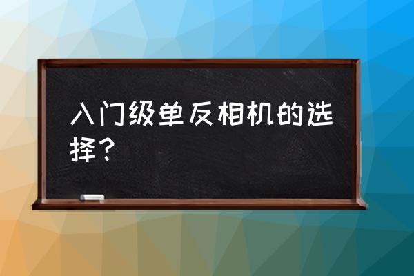 数码单反摄影轻松入门怎么样 入门级单反相机的选择？