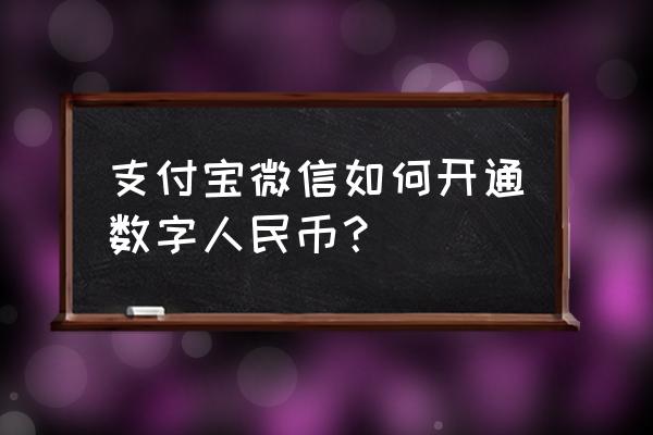 办理货币支付业务需要哪些程序 支付宝微信如何开通数字人民币？