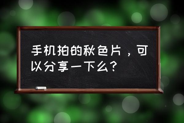 照相机镜头素材 手机拍的秋色片，可以分享一下么？