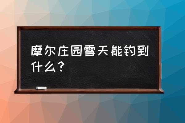 摩尔庄园手游高级渔网在哪儿 摩尔庄园雪天能钓到什么？