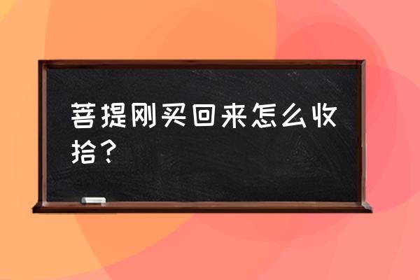 菩提子是抛光好还是不抛光 菩提刚买回来怎么收拾？