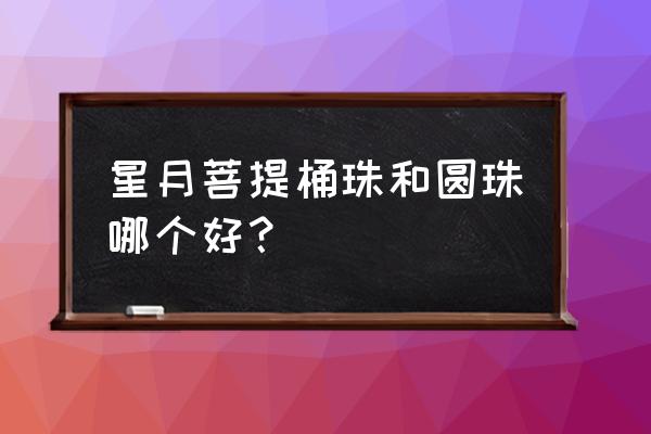 星月菩提子哪种最好 星月菩提桶珠和圆珠哪个好？