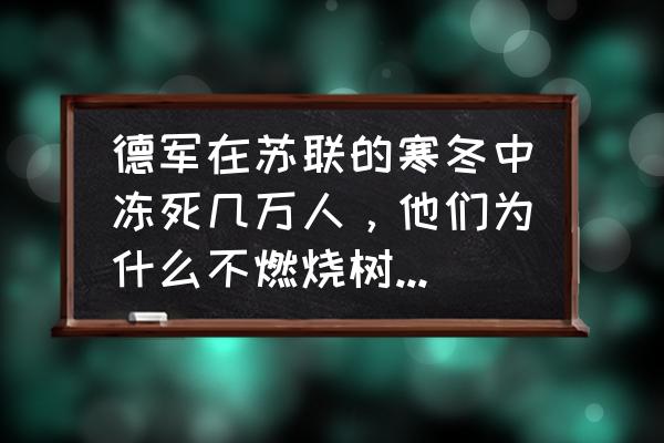 lol冰雪节无限火力英雄排行 德军在苏联的寒冬中冻死几万人，他们为什么不燃烧树木取暖？