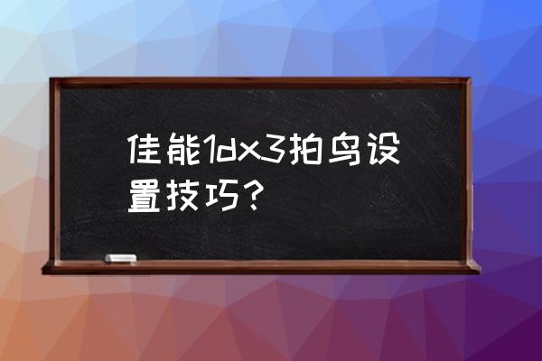 佳能1dx3的正确使用方法 佳能1dx3拍鸟设置技巧？