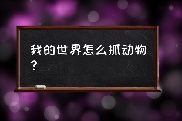 我的世界剪羊毛的正确方法 我的世界怎么抓动物？