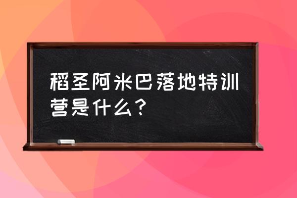 阿米巴管理系统落地 稻圣阿米巴落地特训营是什么？