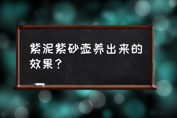 40目老紫泥壶好吗 紫泥紫砂壶养出来的效果？